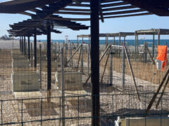 Baia Canaria - Spiaggia attrezzata per cani e famiglie a Senigallia Baia Canaria - Spiaggia attrezzata per cani e famiglie a Senigallia