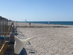 Baia Canaria - Spiaggia attrezzata per cani e famiglie a Senigallia Baia Canaria - Spiaggia attrezzata per cani e famiglie a Senigallia