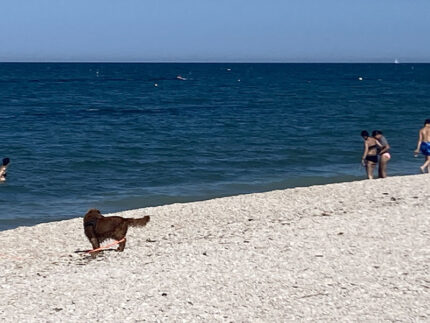 Baia Canaria - Spiaggia attrezzata per cani e famiglie a Senigallia