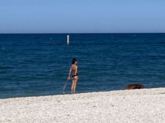 Baia Canaria - Spiaggia attrezzata per cani e famiglie a Senigallia Baia Canaria - Spiaggia attrezzata per cani e famiglie a Senigallia