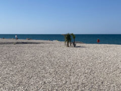 Baia Canaria - Spiaggia attrezzata per cani e famiglie a Senigallia Baia Canaria - Spiaggia attrezzata per cani e famiglie a Senigallia