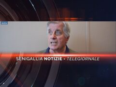 senigallia notizie telegiornale