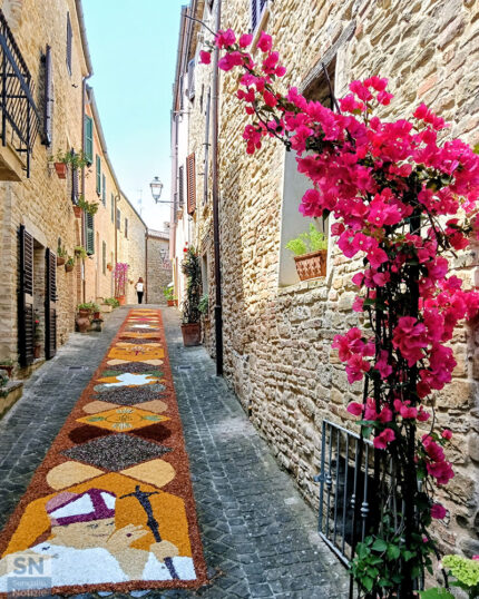 Infiorata a Castiglioni - Foto Berico Predieri