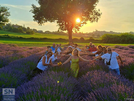 Lavandeto Corinaldo 2026 ...Aps Insieme si può fare - Foto Federico Genga