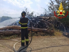 Incendio campo e catasta di legna a Ostra