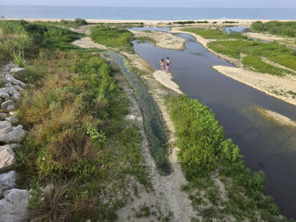 Foce del fiume Cesano