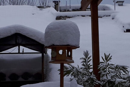 12. Senigallia, 27 febbraio 2018: una suggestiva immagine di neve fresca (Gabriella Piangerelli) 12. Senigallia, 27 febbraio 2018: una suggestiva immagine di neve fresca (Gabriella Piangerelli)