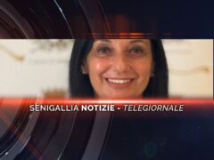 senigallia notizie telegiornale