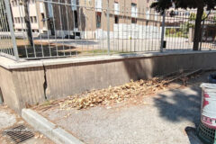 Mancata pulizia di rami e foglie attorno a viale A. Garibaldi Senigallia Mancata pulizia di rami e foglie attorno a viale A. Garibaldi Senigallia