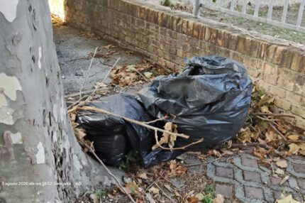 Mancata pulizia di rami e foglie attorno a viale A. Garibaldi Senigallia