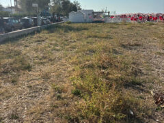 PD, Onda Civica: Marzocca e Montignano: frazioni dimenticate, serve intervento immediato