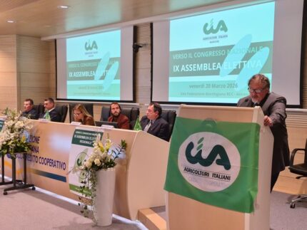 CIA Marche