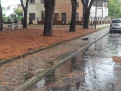Incuria in via delle Genziane