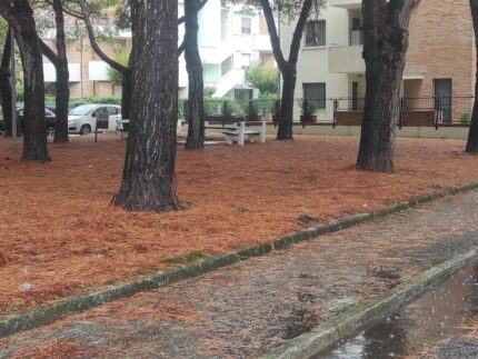 Incuria in via delle Genziane