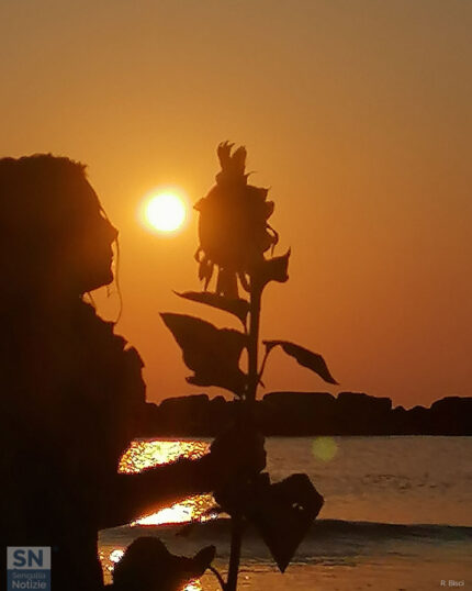Sagome estive al tramonto - Foto Roberta Bisci