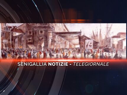 senigallia notizie telegiornale
