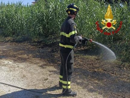 Incendio di sterpaglie