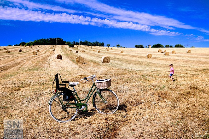 07/08/2020 - I colori dell'estate