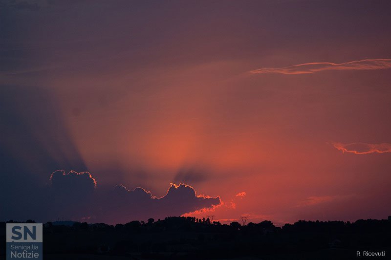 14/08/2023 - Un drago a Senigallia