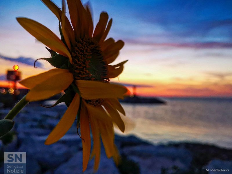 15/08/2023 - In giro al porto a Ferragosto