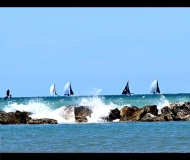 03/08/2025 - Vento&vele