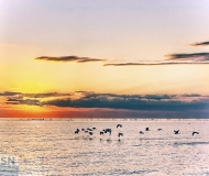 10/08/2025 - Verso una nuova alba