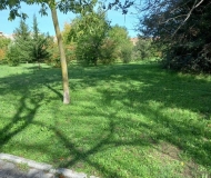 25/08/2025 - Geometrie arboree