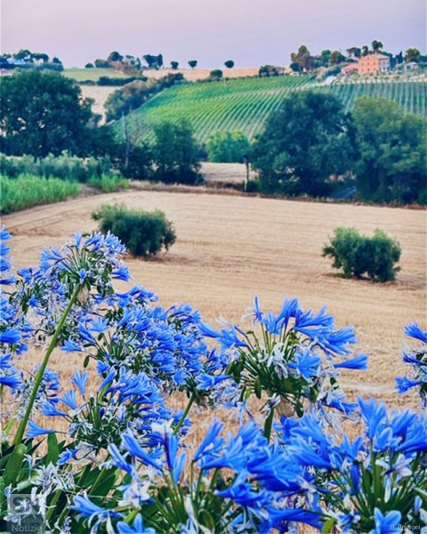 27/08/2026 - Quando la natura si veste di colori