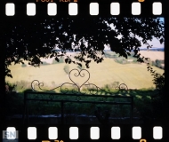 06/08/2026 - Cornice