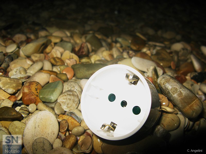 04/04/2020 - In balìa della corrente