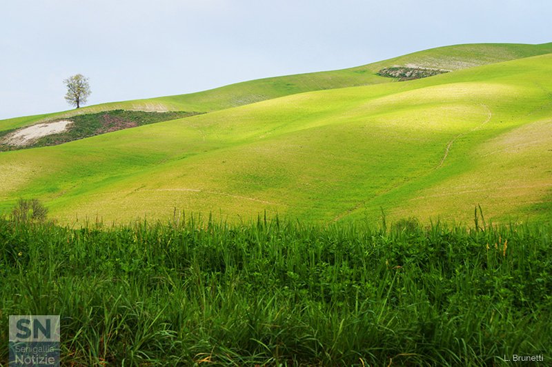 05/04/2020 - A Palazzo di Arcevia