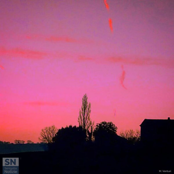 06/04/2020 - Tracce nel rosa