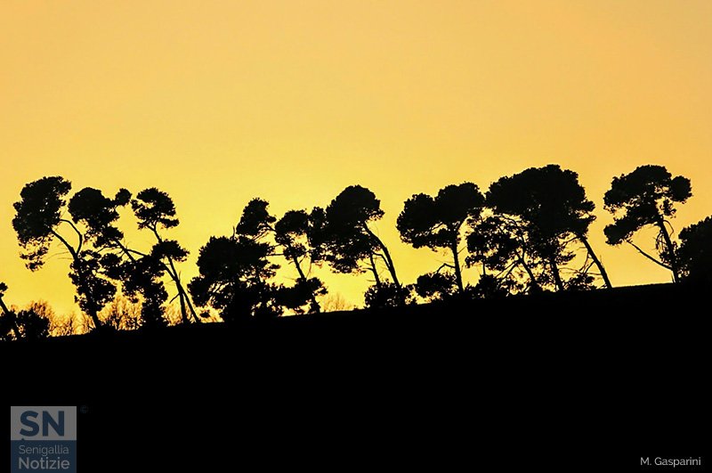 07/04/2020 - Tramonto con sagome