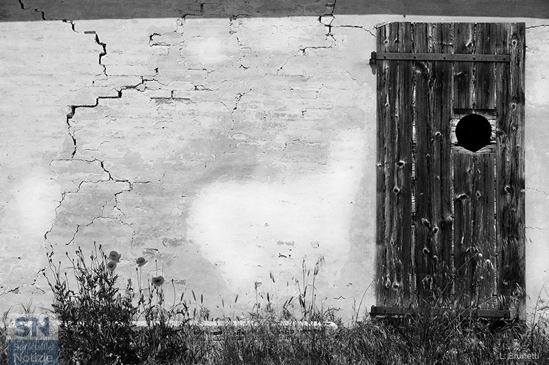 09/04/2020 - In campagna a Serra de' Conti