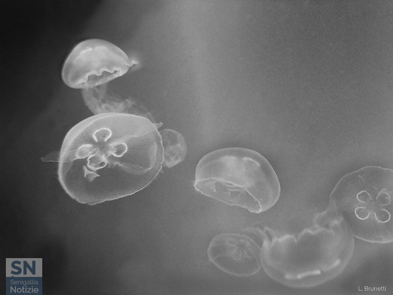 14/04/2020 - Nello spazio