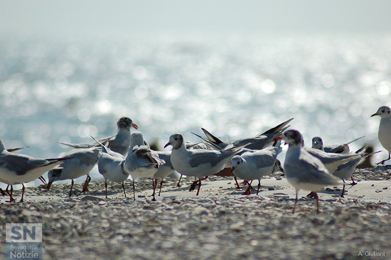 16/04/2020 - Passeggio al mare