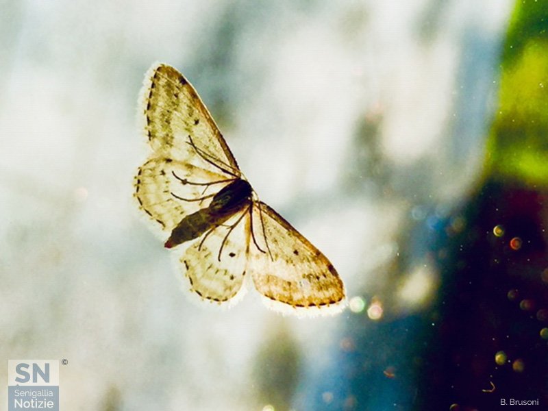 20/04/2020 - Sul vetro