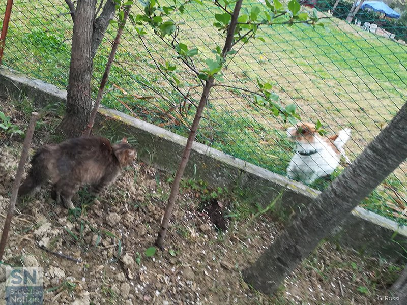 24/04/2020 - Vicini in quarantena