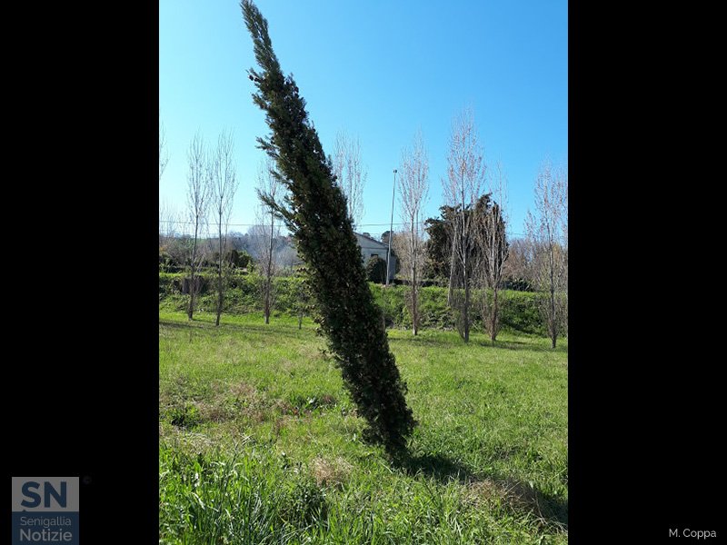 26/04/2020 - Colpo di vento