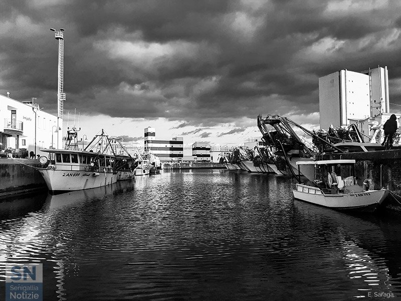 08/04/2021 - La darsena