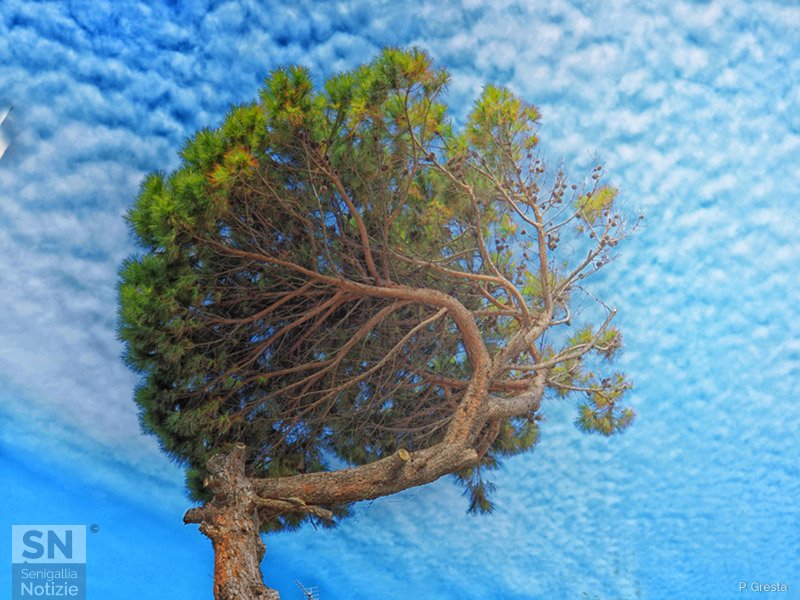 11/04/2021 - Tra le nuvole...