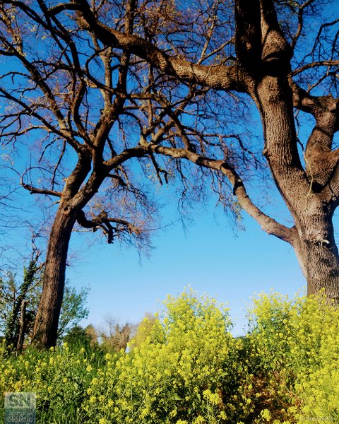 30/04/2021 - L'abbraccio della natura