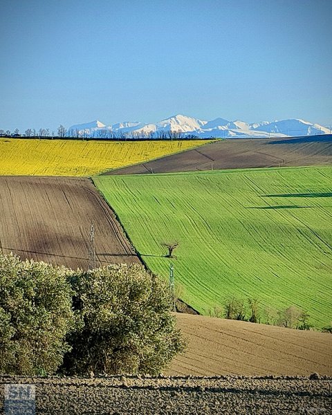 22/04/2022 - I Sibillini da Montignano