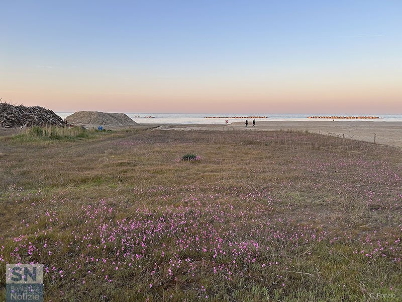 21/04/2025 - Un'altra spiaggia di velluto è possibile