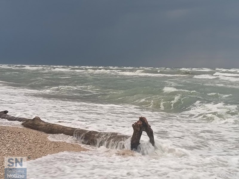 02/04/2026 - Il vento è girato