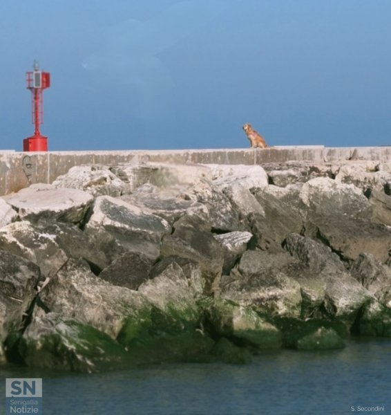 05/04/2026 - Un faro... da ammirare