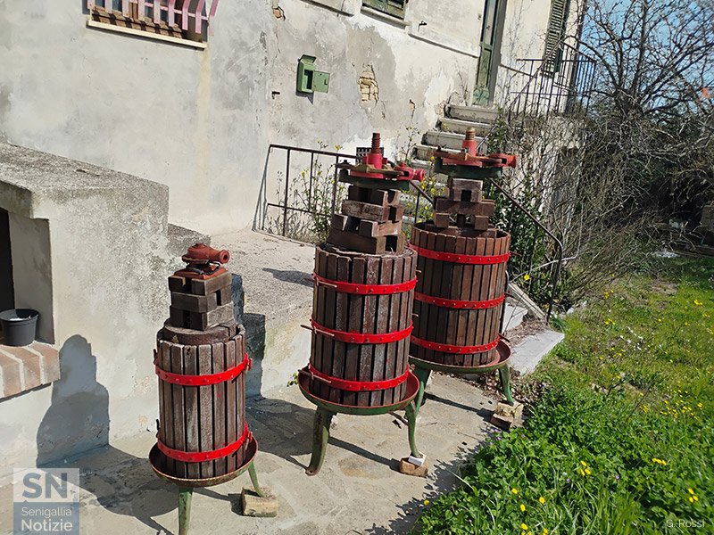 08/04/2026 - I 3 torchi di Montalfoglio