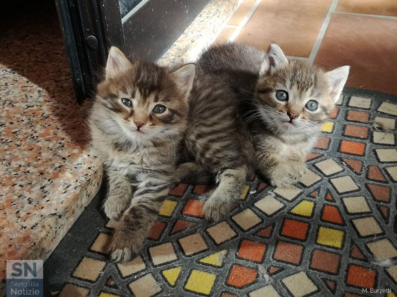 22/04/2026 - Lui e lei