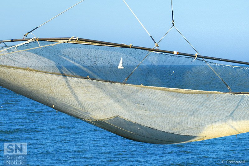 23/04/2026 - Una foto del Mar