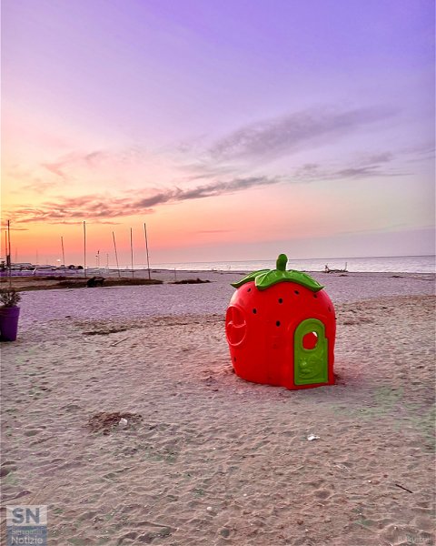 24/04/2026 - Fragola di mare